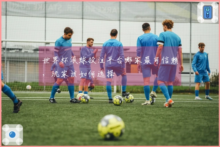 世界杯滚球投注平台哪家最可信赖，玩家该如何选择